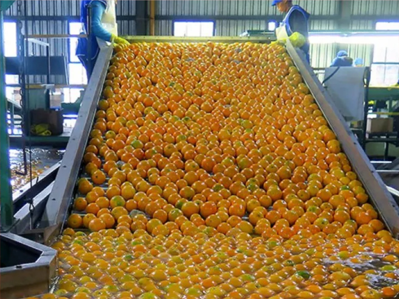 Crop Processing Initiative