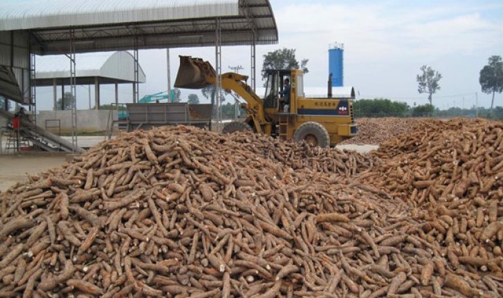 Crop Processing Site